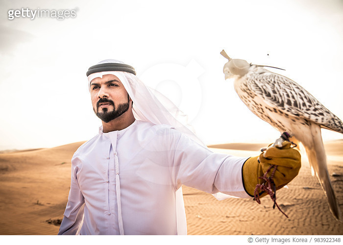 983922348 | 게티이미지코리아 | Arabic man in the desert with his hawk Royalty ...